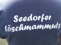 2024-04-14_infotag_bei_der_kinderfeuerwehr_20240423_1430690343